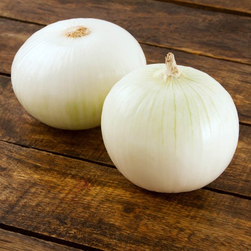 White Onion - (ea)